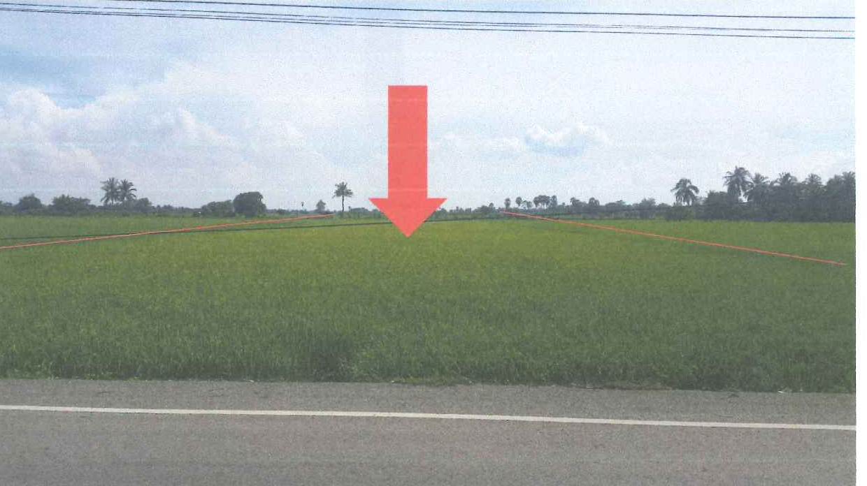รูปที่ดินว่างเปล่า นางลือ เมืองชัยนาท ชัยนาท