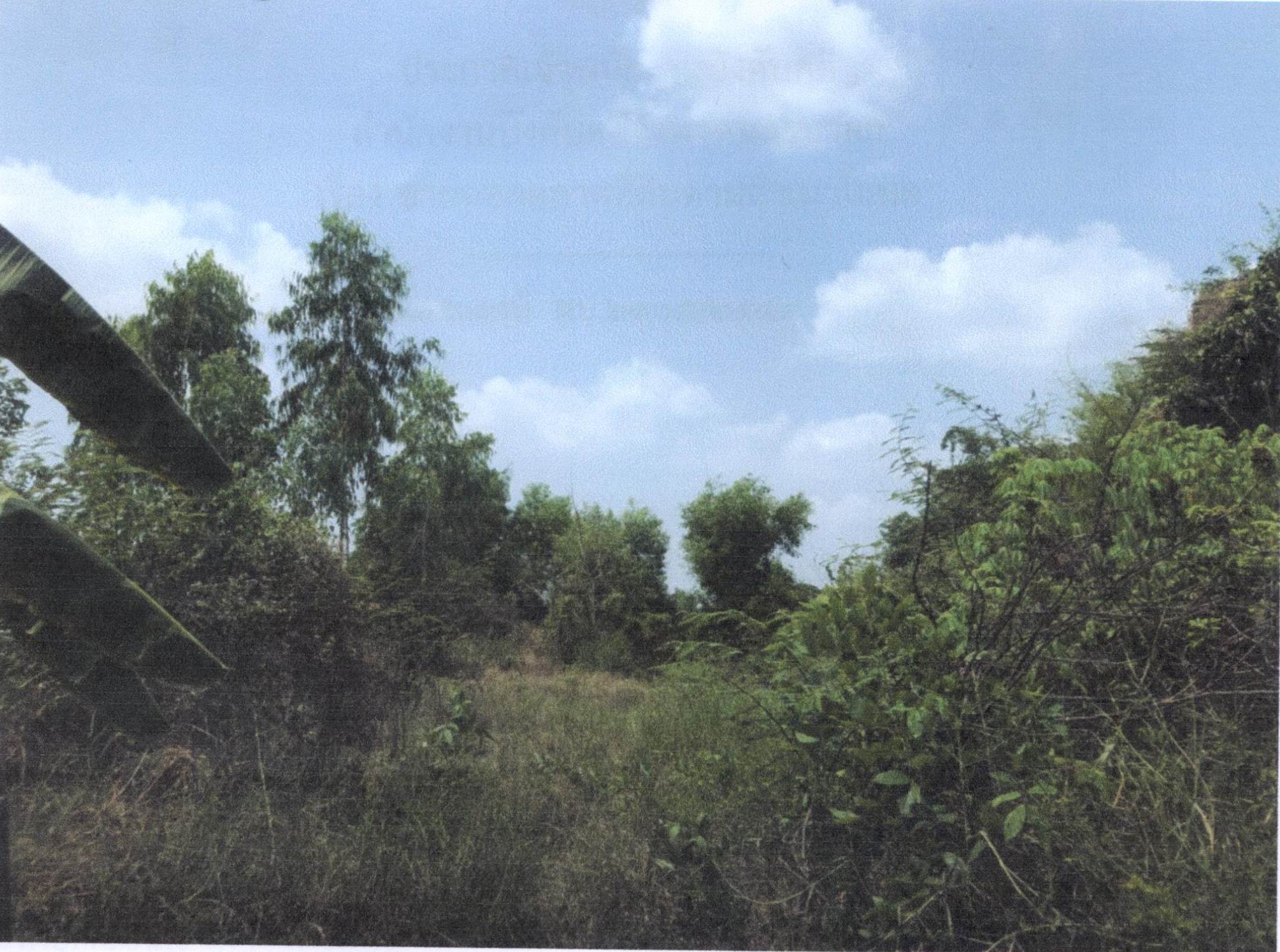 รูปที่ดินว่างเปล่า พรหมณี เมืองนครนายก นครนายก