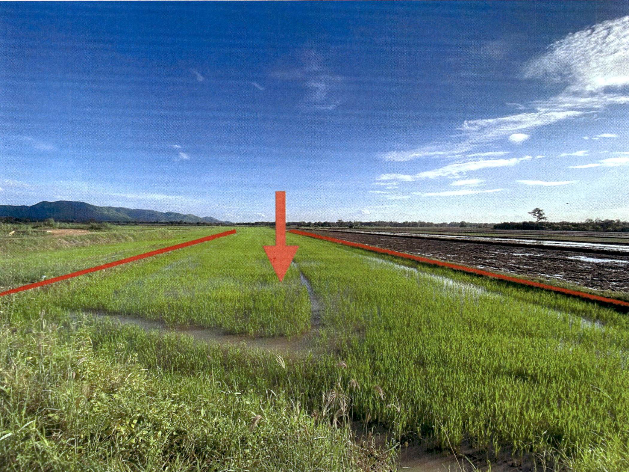 รูปที่ดินว่างเปล่า วังท่าดี หนองไผ่ เพชรบูรณ์