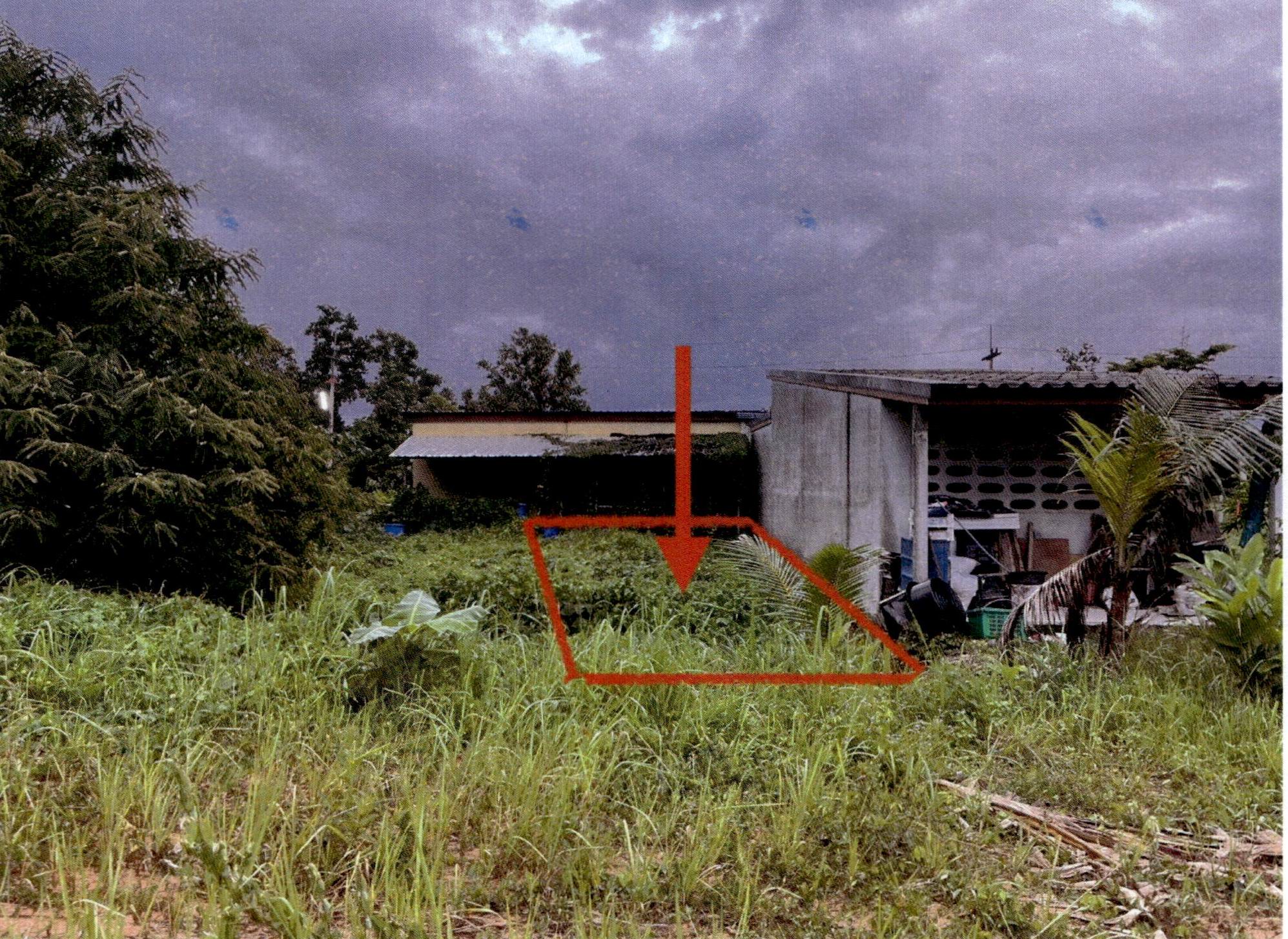 รูปที่ดินว่างเปล่า ทุ่งนุ้ย ควนกาหลง สตูล