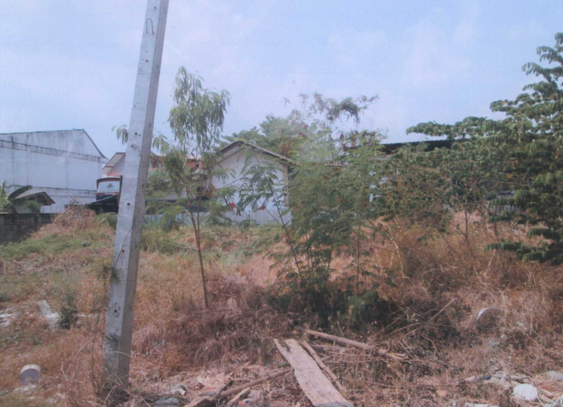 รูปที่ดินว่างเปล่า ทุ่งเสลี่ยม ทุ่งเสลี่ยม สุโขทัย