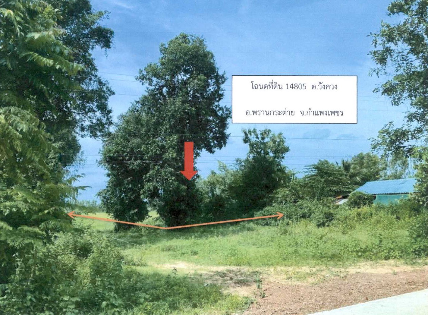 รูปที่ดินว่างเปล่า วังควง พรานกระต่าย กำแพงเพชร