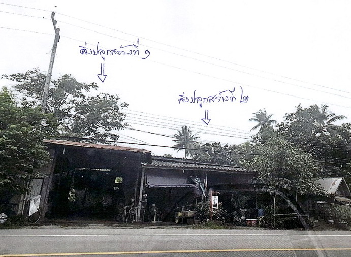 รูปที่ดินพร้อมสิ่งปลูกสร้าง คลองวาฬ เมืองประจวบคีรีขันธ์ ประจวบคีรีขันธ์