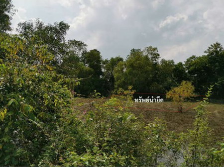 รูปที่ดินว่างเปล่า บ้านพร้าว บ้านนา นครนายก