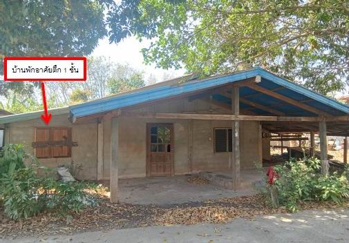 รูปที่ดินพร้อมสิ่งปลูกสร้าง ดอนหญ้านาง พรเจริญ บึงกาฬ