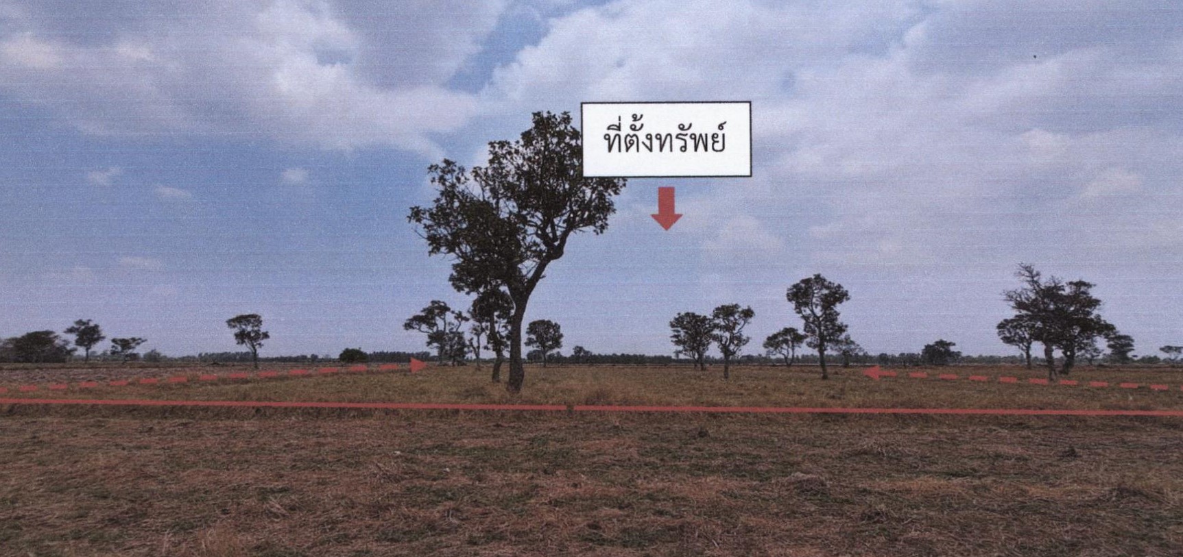 รูปที่ดินว่างเปล่า นาหนองไผ่ ชุมพลบุรี สุรินทร์