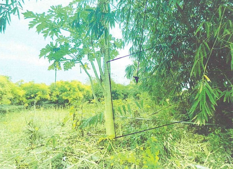 รูปที่ดินว่างเปล่า นครเดิฐ ศรีนคร สุโขทัย