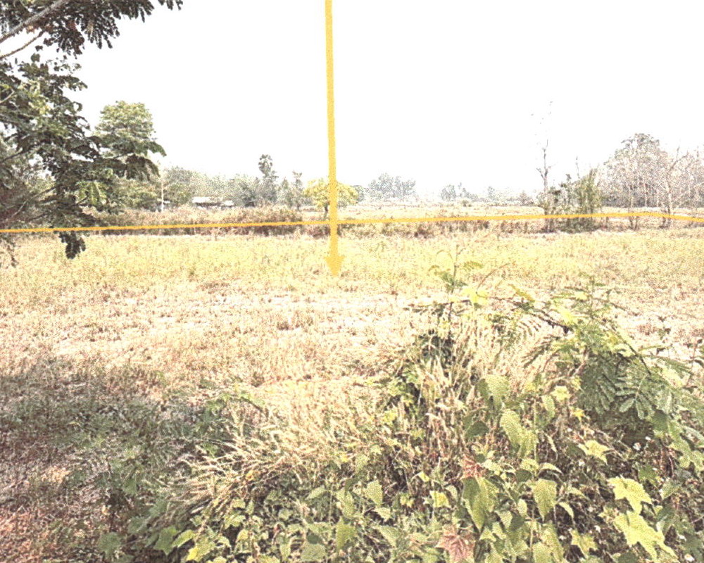 รูปที่ดินว่างเปล่า วังดิน เมืองอุตรดิตถ์ อุตรดิตถ์