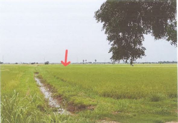รูปที่ดินว่างเปล่า ท่างาม อินทร์บุรี สิงห์บุรี