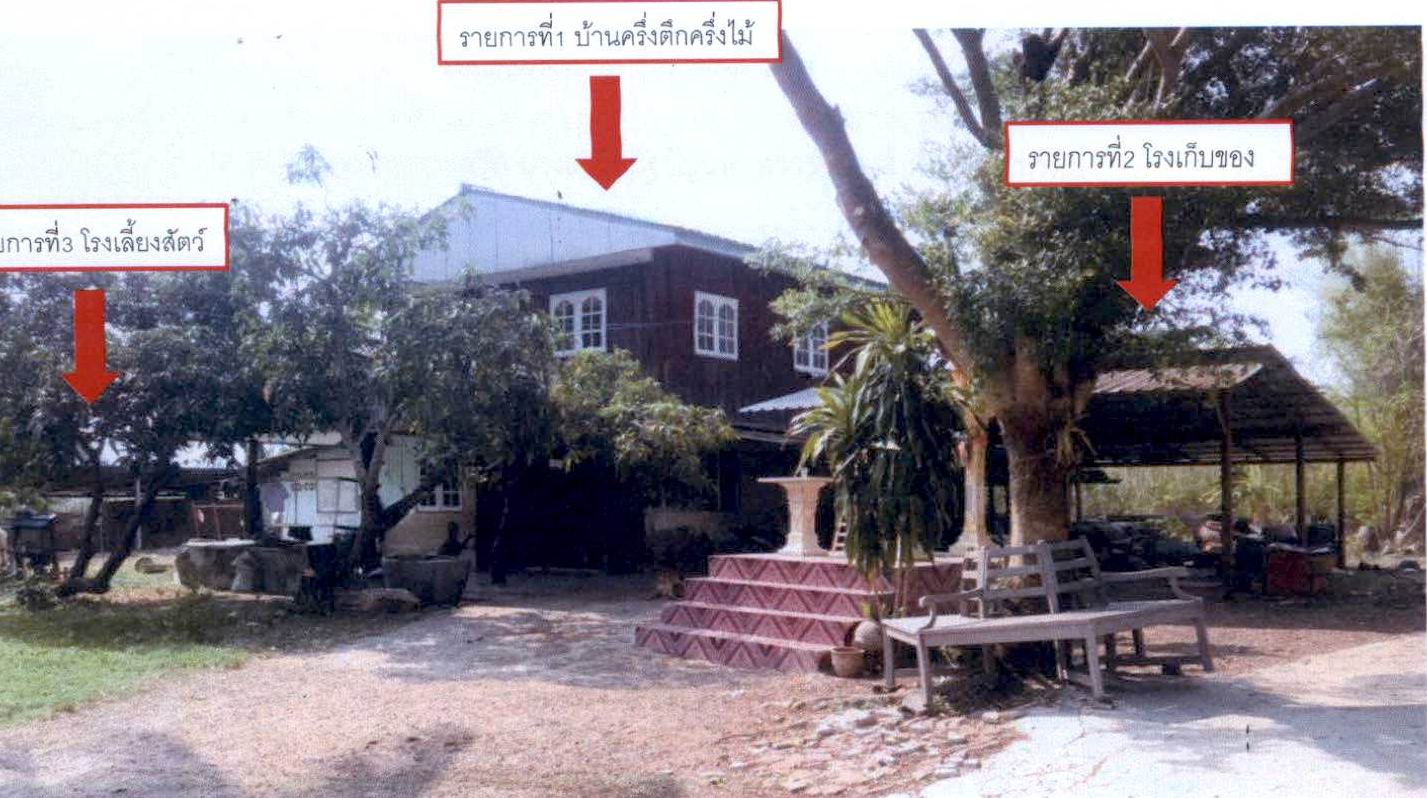 รูปที่ดินพร้อมสิ่งปลูกสร้าง ต้นมะพร้าว เมืองเพชรบุรี เพชรบุรี