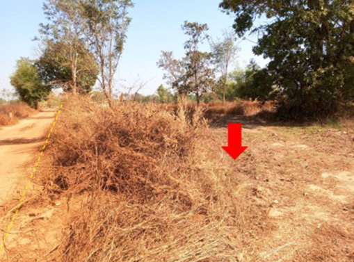 รูปที่ดินว่างเปล่า บ้านผึ้ง เมืองนครพนม นครพนม