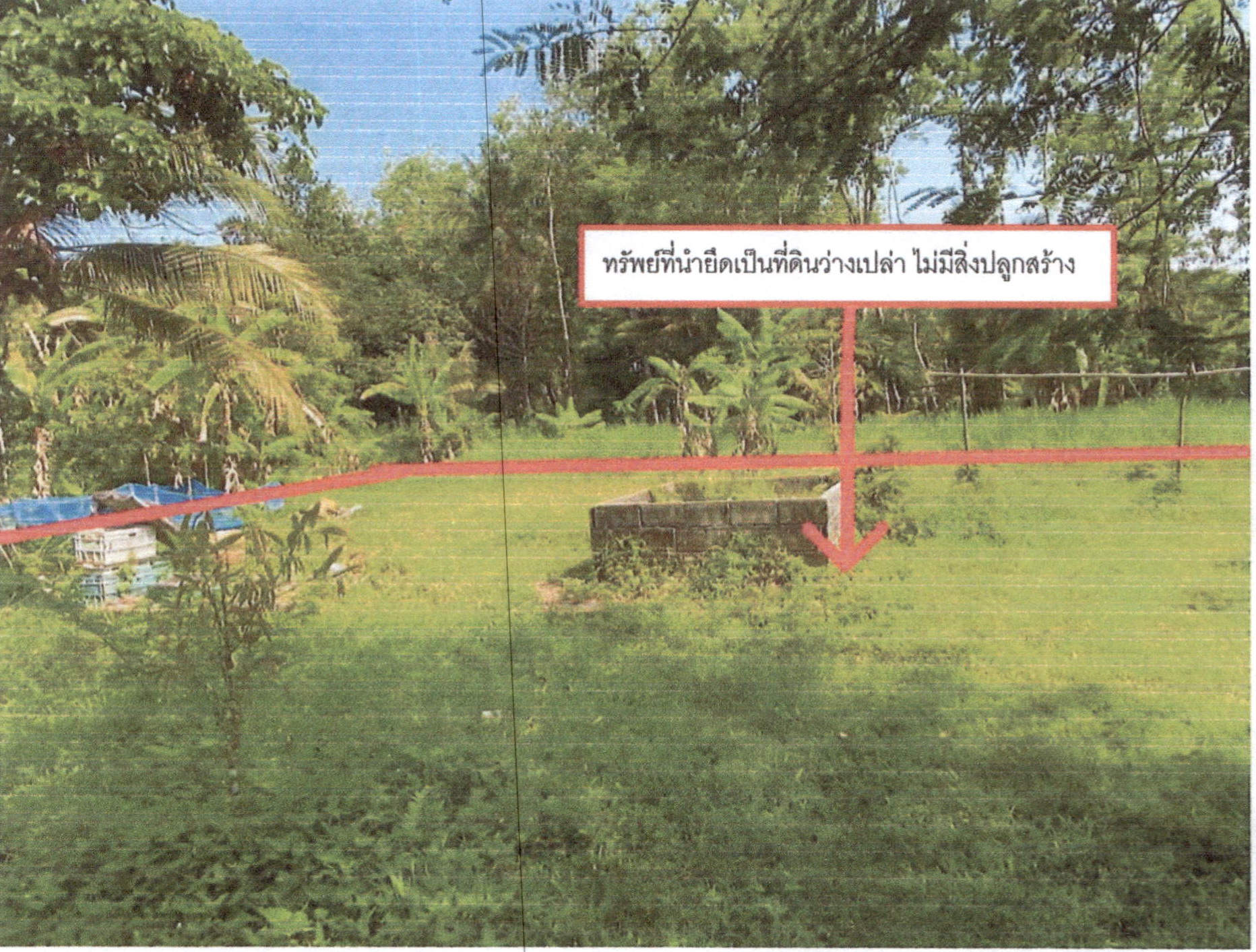 รูปที่ดินว่างเปล่า ท่ามิหรำ เมืองพัทลุง พัทลุง