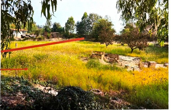 รูปที่ดินว่างเปล่า งิ้วราย ตะพานหิน พิจิตร