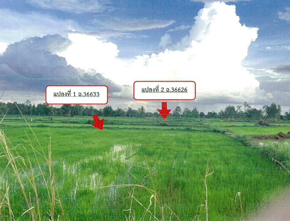 รูปที่ดินว่างเปล่า โพธิไพศาล กุสุมาลย์ สกลนคร