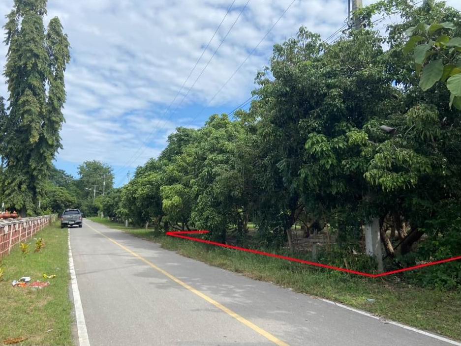 รูปที่ดินว่างเปล่า บ้านแอ่น ดอยเต่า เชียงใหม่