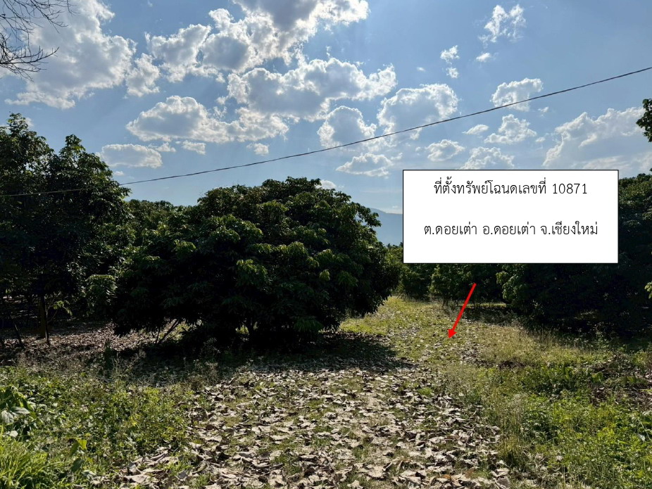รูปที่ดินว่างเปล่า ดอยเต่า ดอยเต่า เชียงใหม่