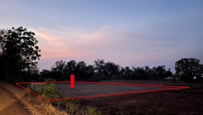 รูปที่ดินว่างเปล่า ขุนทอง บัวใหญ่ นครราชสีมา