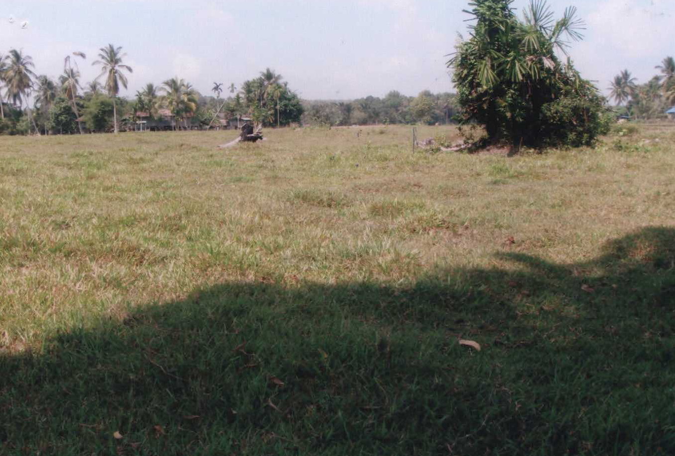 รูปที่ดินว่างเปล่า ปล่องหอย กะพ้อ ปัตตานี