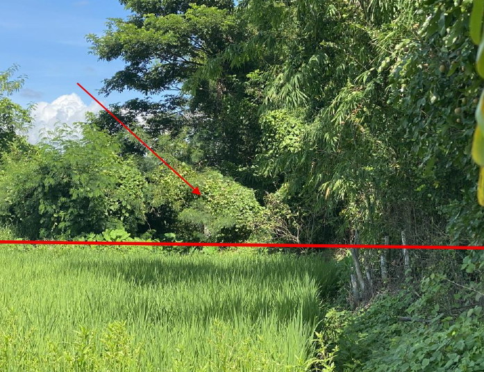 รูปที่ดินว่างเปล่า ทุ่งสะโตก สันป่าตอง เชียงใหม่