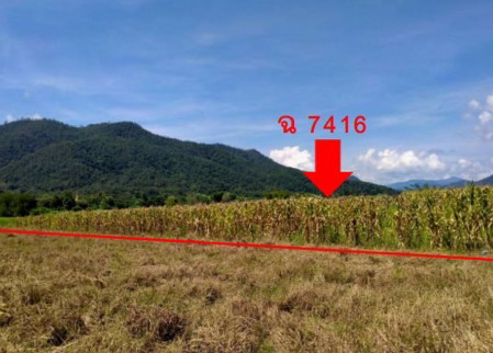 รูปที่ดินว่างเปล่า เมืองแปง ปาย แม่ฮ่องสอน