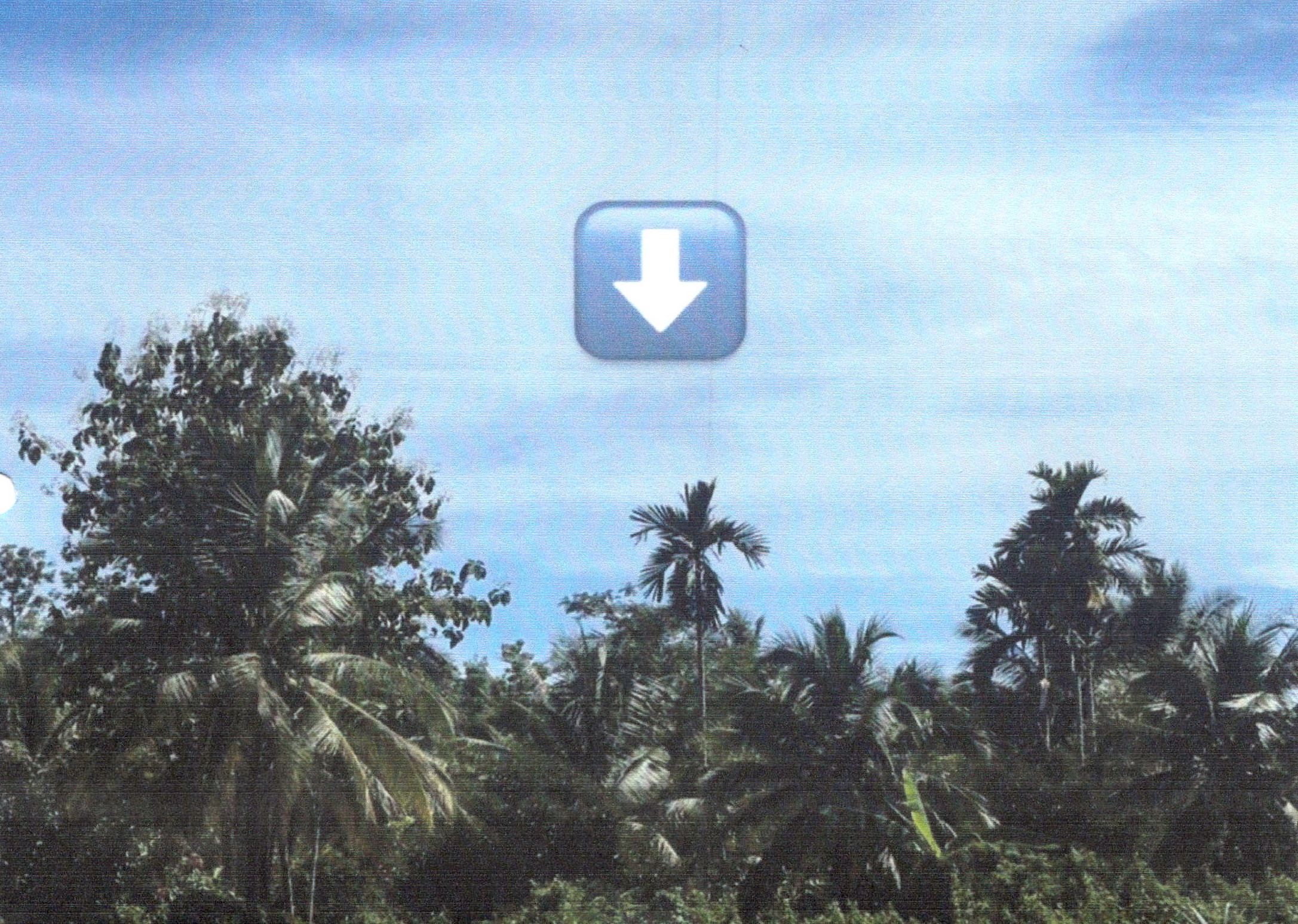 รูปที่ดินว่างเปล่า ควนขัน เมืองสตูล สตูล