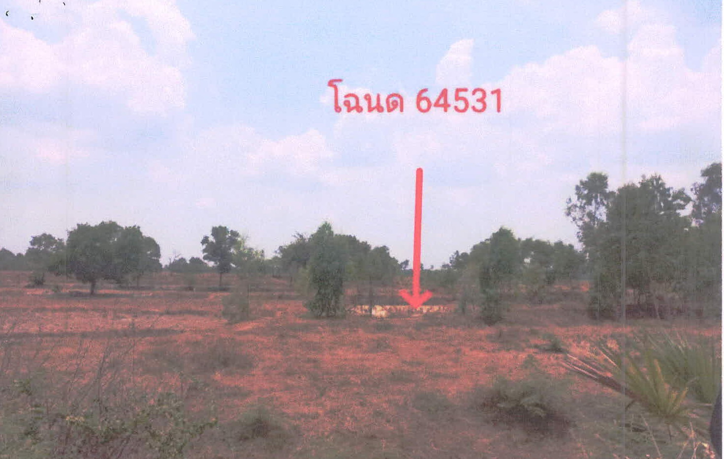 รูปที่ดินพร้อมสิ่งปลูกสร้าง เมืองเหนือ เมืองศรีสะเกษ ศรีสะเกษ