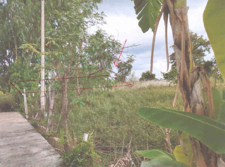 รูปที่ดินว่างเปล่า งิ้วราย ตะพานหิน พิจิตร