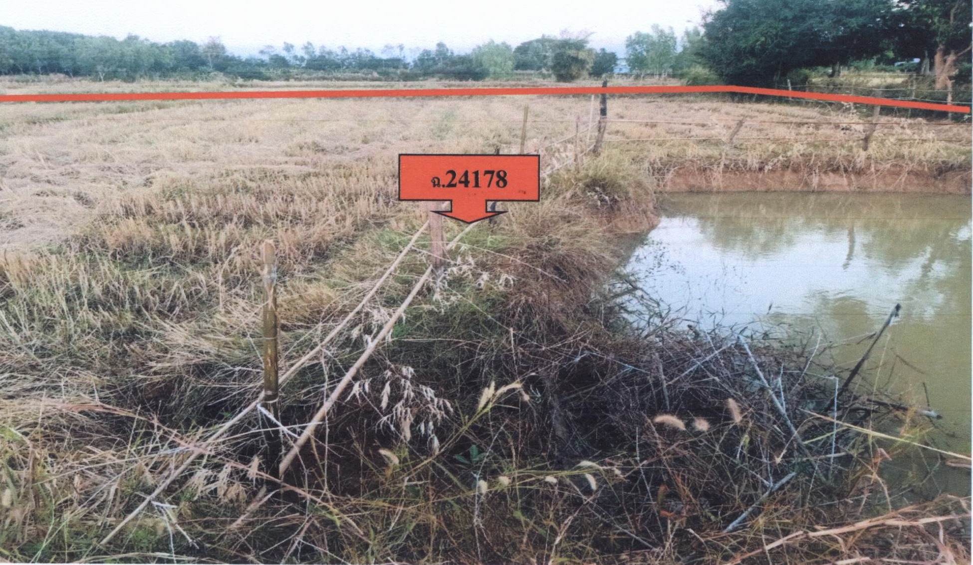 รูปที่ดินว่างเปล่า โพนทอง เสนางคนิคม อำนาจเจริญ