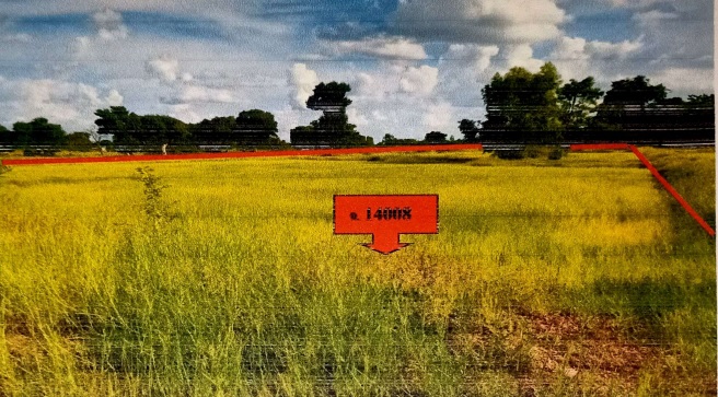 รูปที่ดินว่างเปล่า หนองผือ เมืองสรวง ร้อยเอ็ด