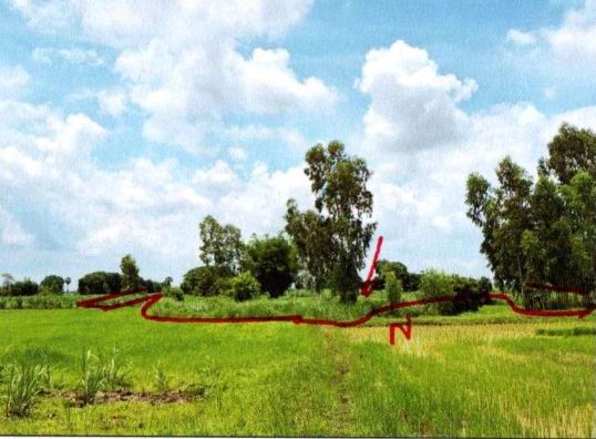 รูปที่ดินว่างเปล่า ปะโค กุมภวาปี อุดรธานี