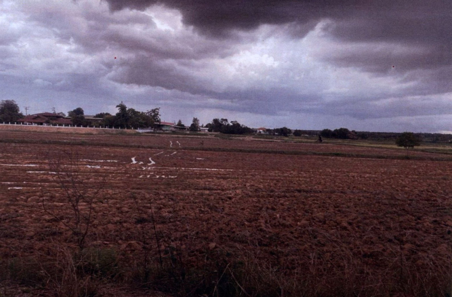 รูปที่ดินว่างเปล่า กระโพ ท่าตูม สุรินทร์