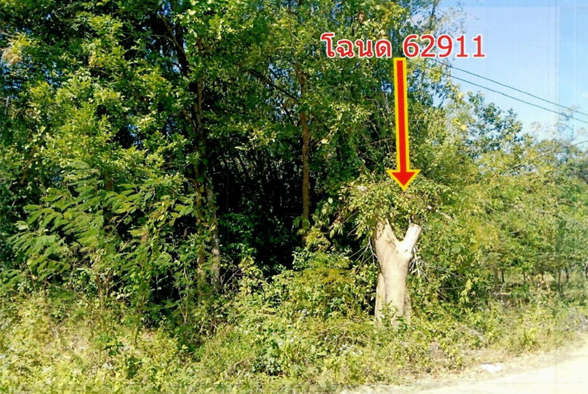 รูปที่ดินว่างเปล่า นาวัง เมืองอำนาจเจริญ อำนาจเจริญ