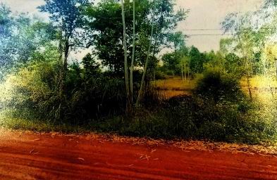 รูปที่ดินว่างเปล่า หนองสนม วานรนิวาส สกลนคร