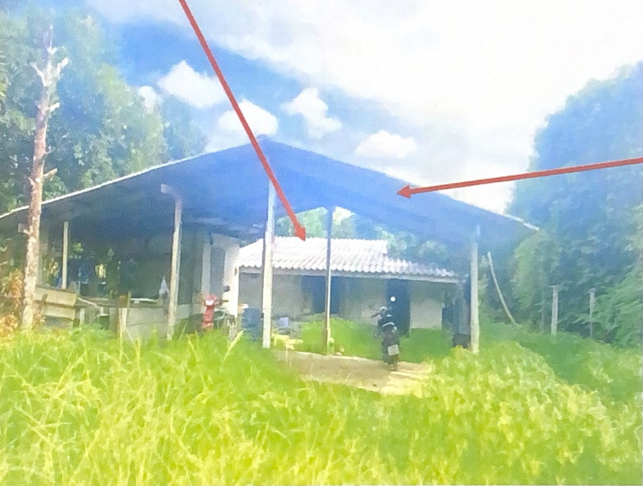 รูปที่ดินพร้อมสิ่งปลูกสร้าง บ้านแลง เมืองระยอง ระยอง