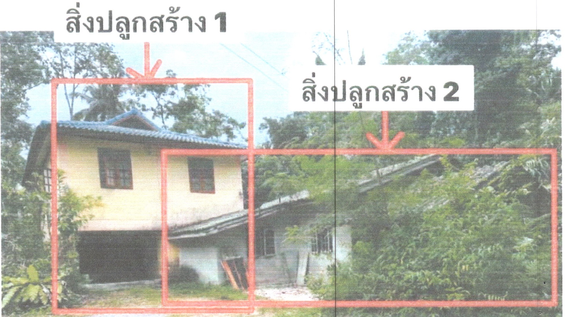 รูปที่ดินพร้อมสิ่งปลูกสร้าง ฝาละมี ปากพะยูน พัทลุง