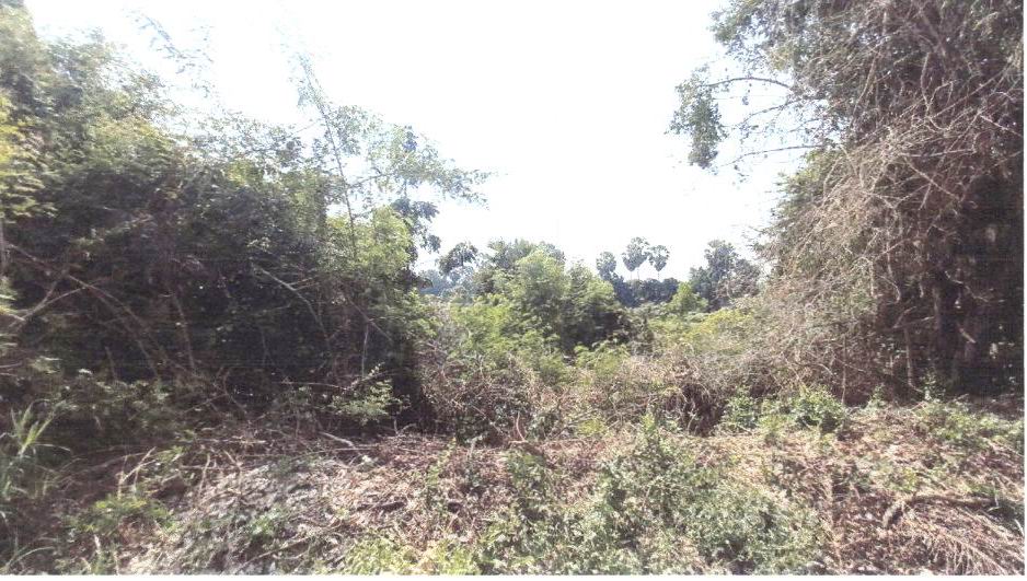 รูปที่ดินว่างเปล่า หนองโอ่ง อู่ทอง สุพรรณบุรี