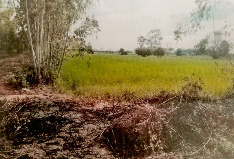 รูปที่ดินว่างเปล่า ด่าน กาบเชิง สุรินทร์