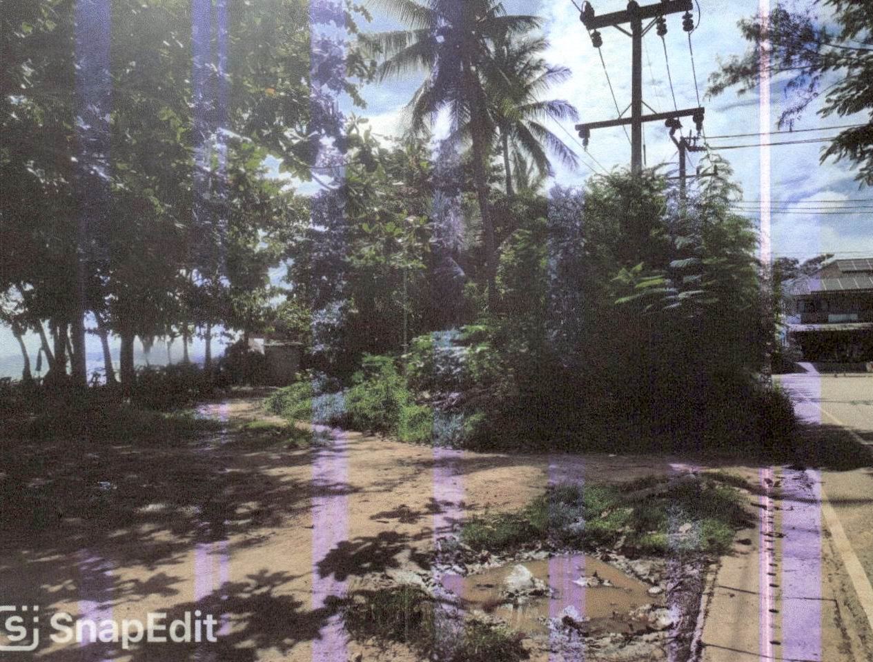 รูปที่ดินว่างเปล่า หนองทะเล เมืองกระบี่ กระบี่