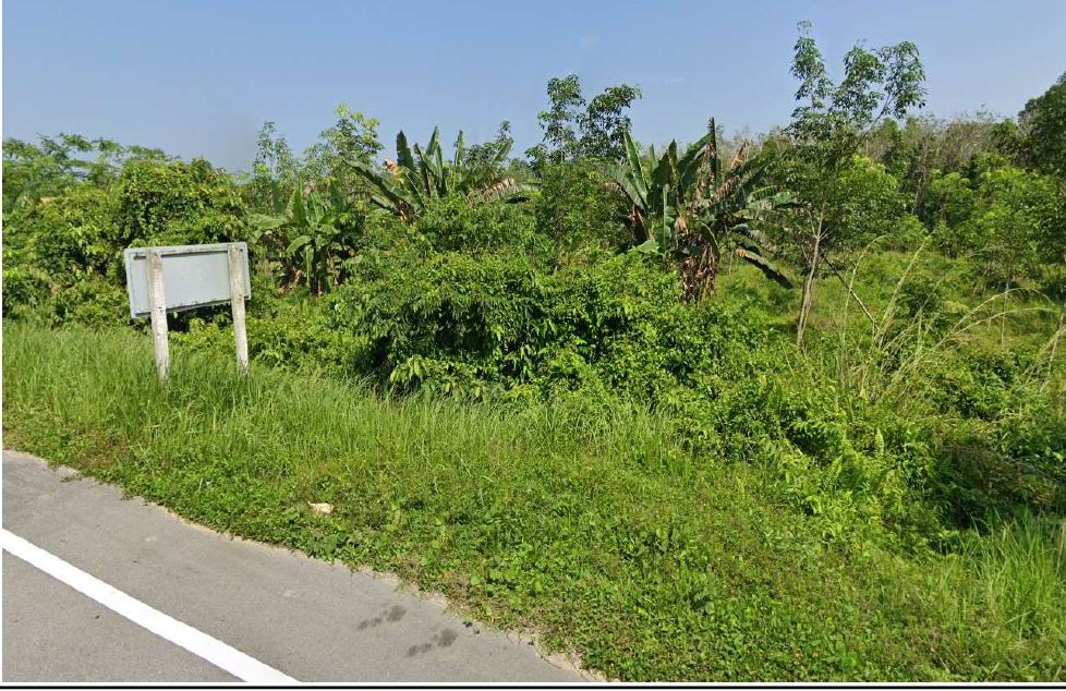 รูปที่ดินว่างเปล่า ตันหยงลิมอ ระแงะ นราธิวาส