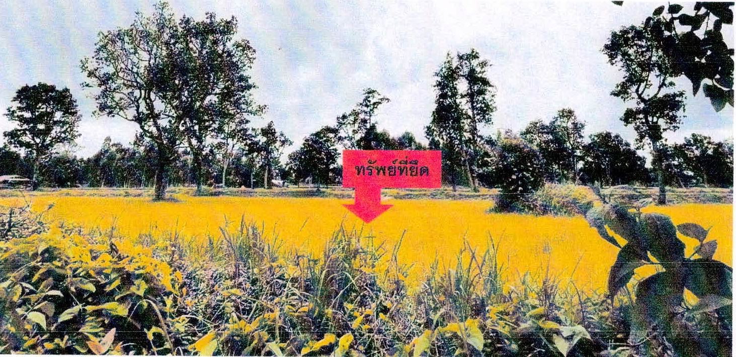 รูปที่ดินว่างเปล่า คำเนียม กันทรารมย์ ศรีสะเกษ