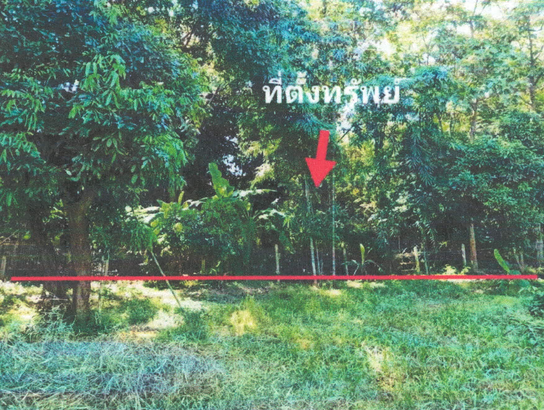 รูปที่ดินว่างเปล่า ท่าผา เกาะคา ลำปาง