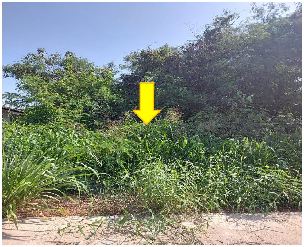 รูปที่ดินว่างเปล่า สากเหล็ก เมืองพิจิตร พิจิตร