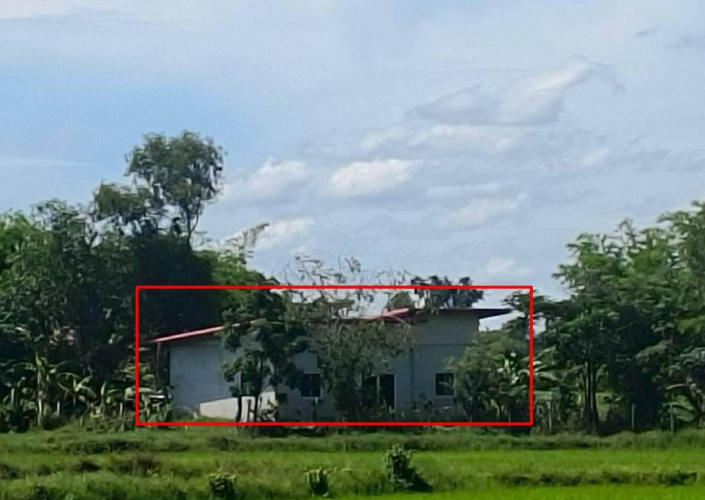 รูปที่ดินพร้อมสิ่งปลูกสร้าง ตองโขบ โคกศรีสุพรรณ สกลนคร