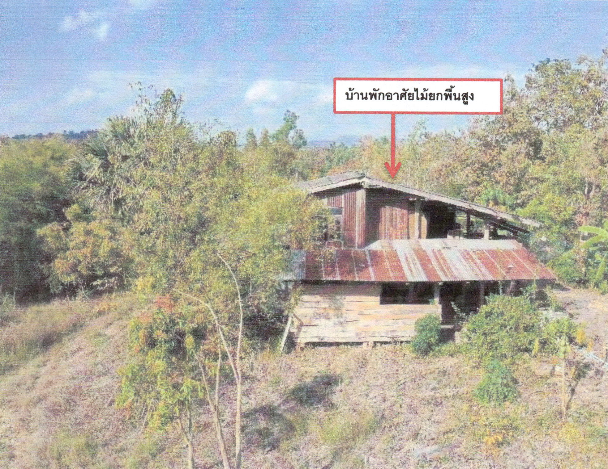 รูปที่ดินพร้อมสิ่งปลูกสร้าง ผานกเค้า ภูกระดึง เลย