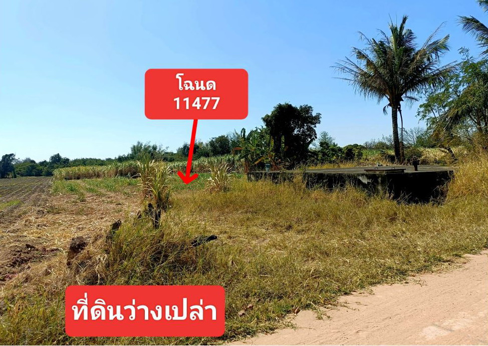 รูปที่ดินว่างเปล่า ทัพรั้ง พระทองคำ นครราชสีมา