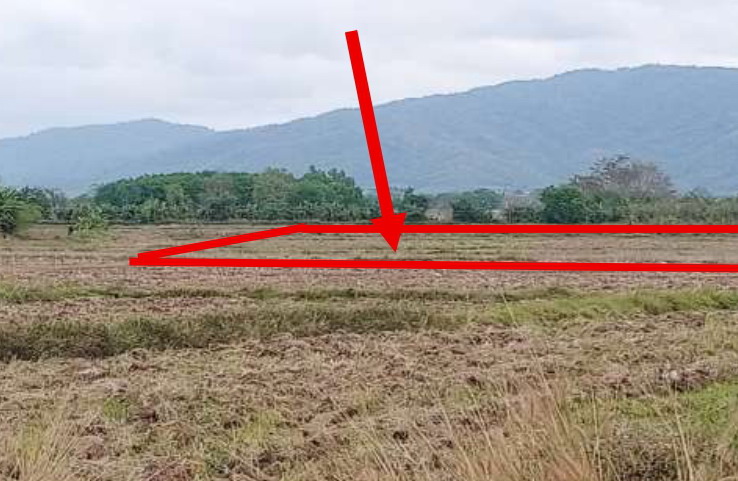 รูปที่ดินว่างเปล่า ทุ่งก่อ เวียงเชียงรุ้ง เชียงราย