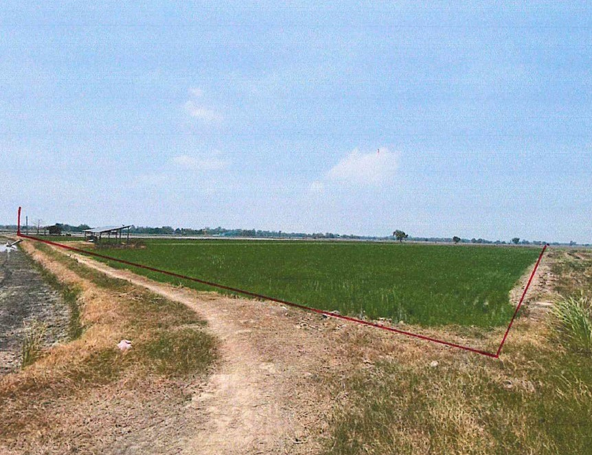 รูปที่ดินว่างเปล่า ไผ่รอบ โพธิ์ประทับช้าง พิจิตร