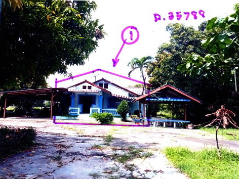 รูปที่ดินพร้อมสิ่งปลูกสร้าง แสลงพัน ลำปลายมาศ บุรีรัมย์