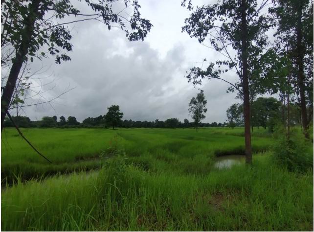 รูปที่ดินว่างเปล่า ม่วง บ้านม่วง สกลนคร