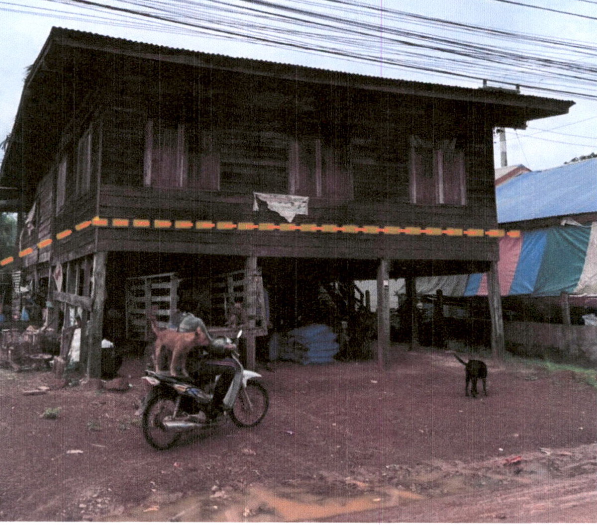 รูปที่ดินพร้อมสิ่งปลูกสร้าง ตบหู เดชอุดม อุบลราชธานี